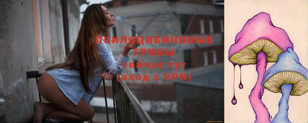 МДПВ Дмитров