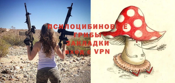ALPHA PVP Куйбышев