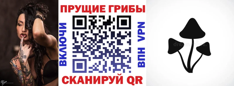 Галлюциногенные грибы GOLDEN TEACHER  блэк спрут   Завитинск  что такое  